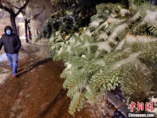 黑龙江冻雨图片