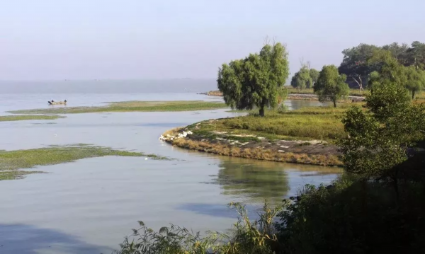 闲庭信步在蒋坝正是乡野醉美时