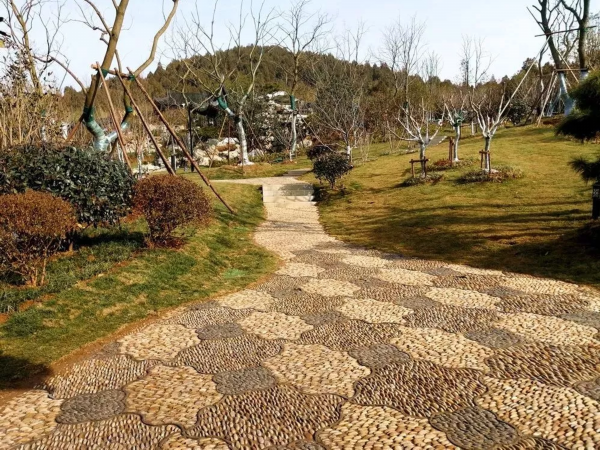 惊艳亮相i龙腰山山体公园开园,附近的居民有福啦