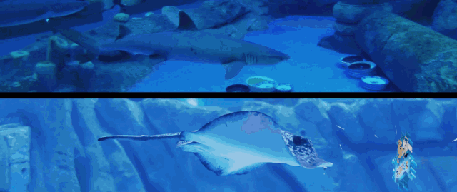 荔枝新闻 江苏              西游记文旅区   时间:14点至17点   龙宫