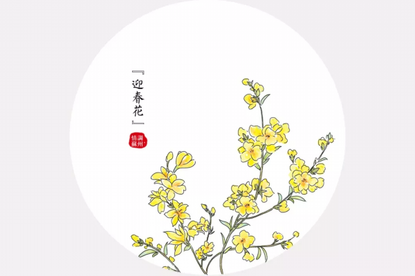 手绘苏州全年赏花时间表