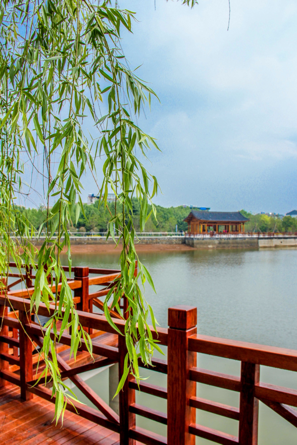 徐州又添打卡地龙潭湖公园正式开园啦