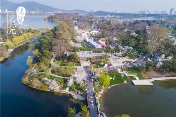 在玄武湖公園十里長堤我找到了紅綠黃橙粉