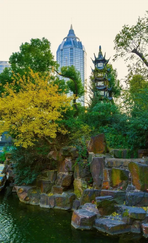 七月避暑游,无锡这些开放式公园绿意盎然