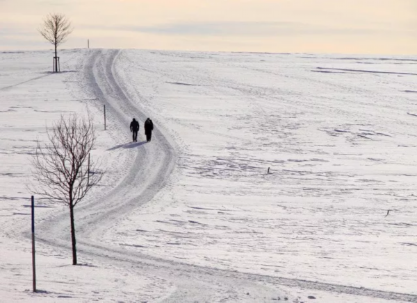 今日小雪!愿与你共白头.