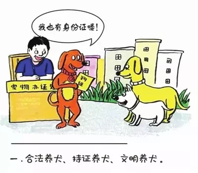 给主人当狗的规矩图片