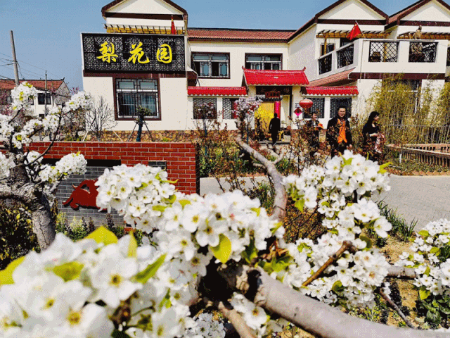 如今的顺河街道梨园湾社区,正散发着"网红村"的气质,众多"打卡地"