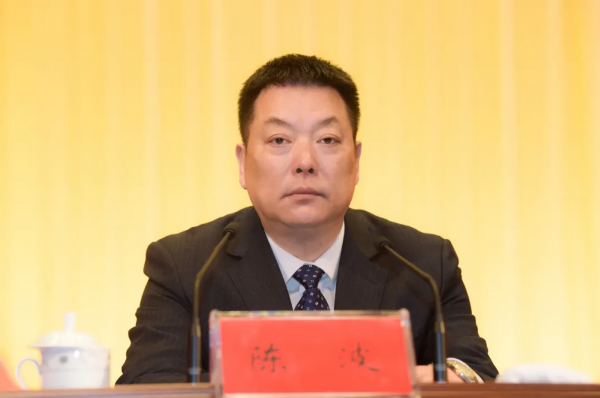 区人大常委会主任陈波主持开幕会议