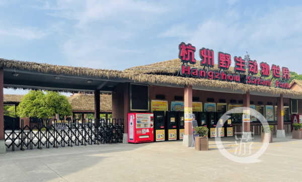5月8日,3只金钱豹出逃后,杭州野生动物园已关闭. 上游新闻 资料图