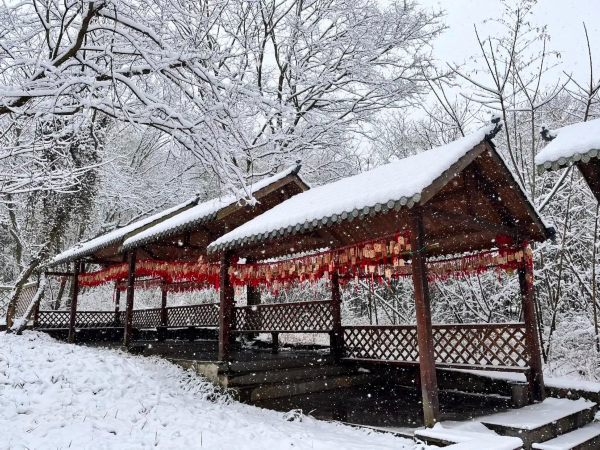 淮安下雪图片