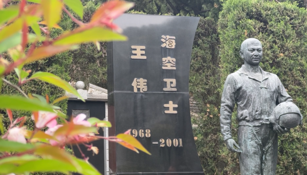 王伟墓碑前,老战友们带来了52个孩子的敬仰…_我苏网