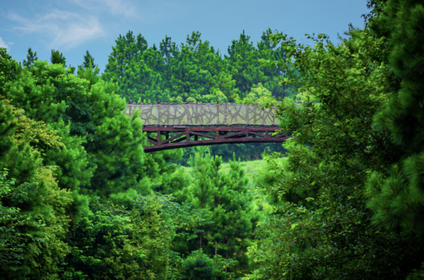 秘境走进"南京地铁实训基地"探寻地铁运行的奥秘化身为一位"地铁人"从