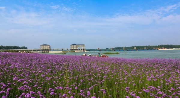 必玩這條邳州旅遊線路值得擁有