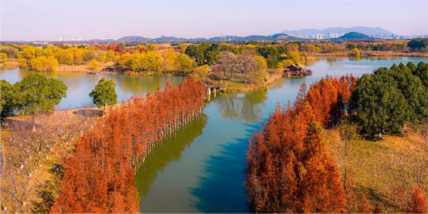 首页>荔枝新闻>社会>打造水乡特色公园城市优化湿地公园建设优质公共