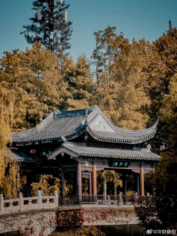 景色超美最近南京这些顶流景点根本逛不够