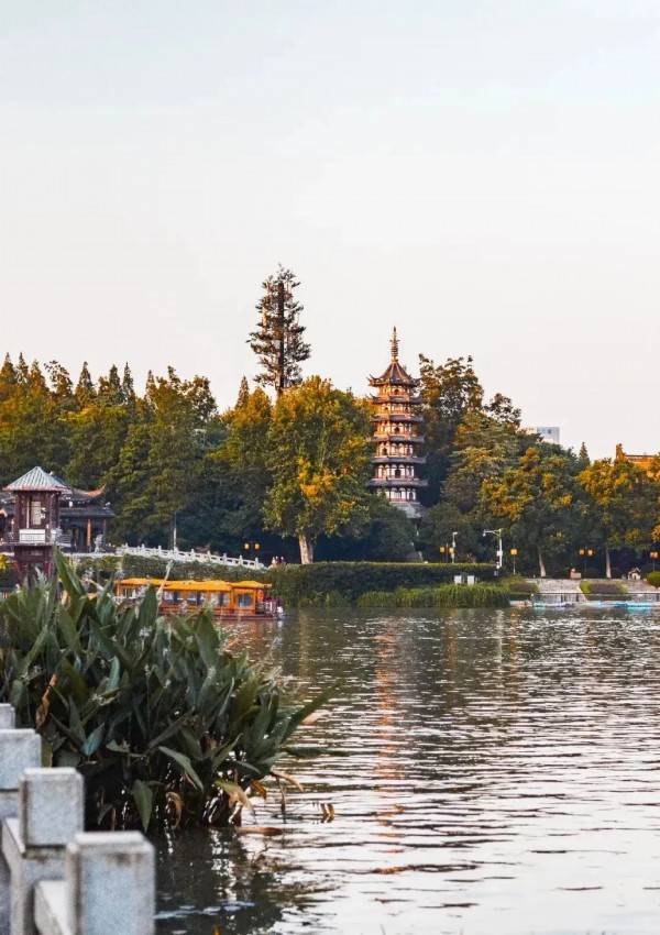 景色超美最近南京这些顶流景点根本逛不够