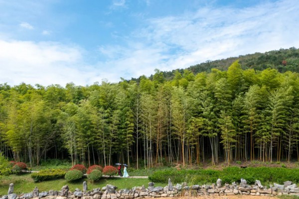 好消息南京游子山休闲旅游景区加入2024年南京游园年卡一卡在手说走就