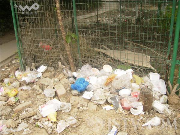 小行附近高架下却有成堆的白色垃圾长期堆积在那里,不但污染城市环境