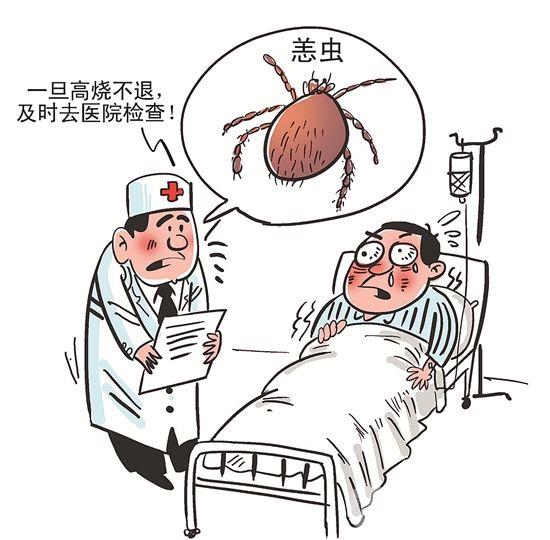 恙虫病是个什么鬼?宿迁上百人被咬入院