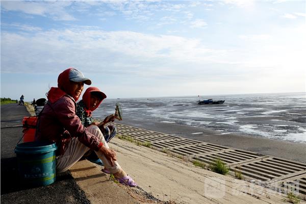 鹽城東臺條子泥海邊風景如畫 吸引上千遊人