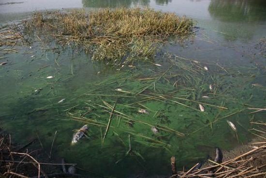 江苏回应"企业环境违法仅被罚603元":还有13万