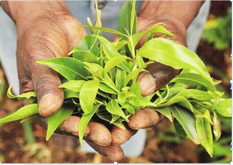 关注6·26国际禁毒日