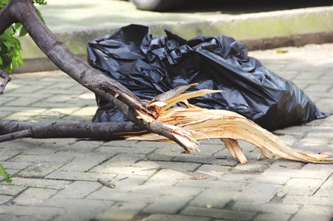 通安昨日遭遇10级雷雨大风