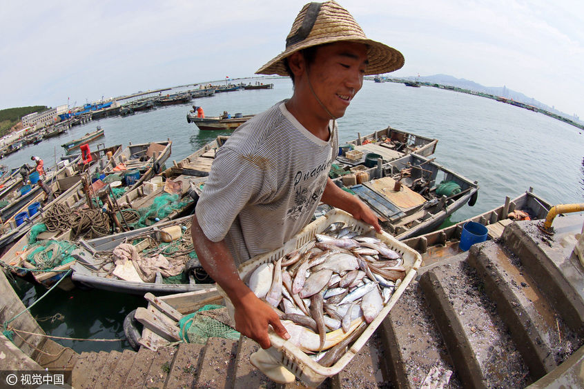 山东烟台:黄渤海休渔结束 千帆竞发出海捕鱼