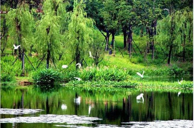 南京绿水湾省级湿地公园总体规划修编日前获批了!