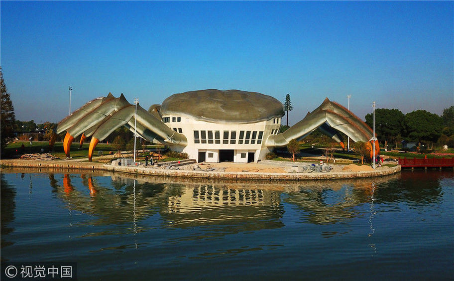 2017年10月31日,江苏省昆山市巴城巴解园内的东阳澄湖岸边,一只青背白