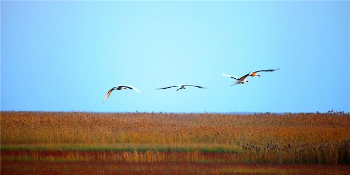 《大美中国》栏目带你走进美丽亭湖!