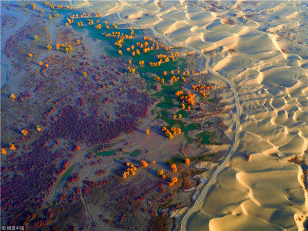 2017年10月31日,新疆塔里木盆地,航拍尉犁县段秋季风光.