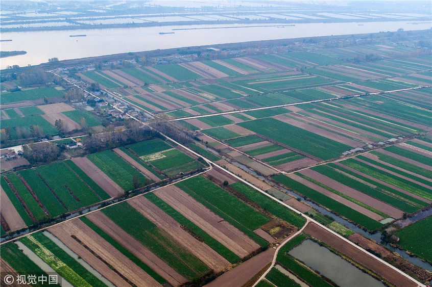 2017年12月1日,航拍的江苏省盱眙县淮河镇哈滩村万亩无公害蔬菜基地.