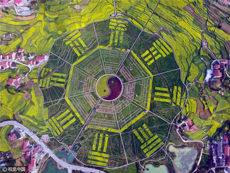 航拍贵州怀仁田间八卦图