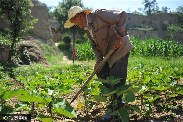 王洪喜年轻时陆续当过多年的生产队长和农业技术员,对土地非常亲近