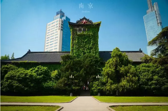 南京泰晤士学校图片