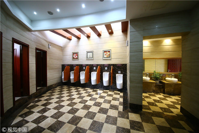 世界厕所日:盘点世界各地"高大上"洗手间