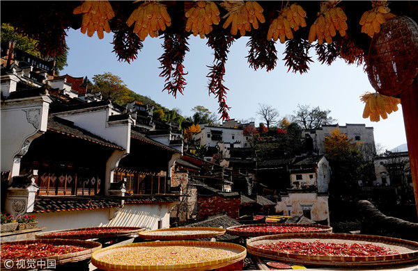 2018年11月29日,江西上饶,晒秋是篁岭最具特色的秋收场景.