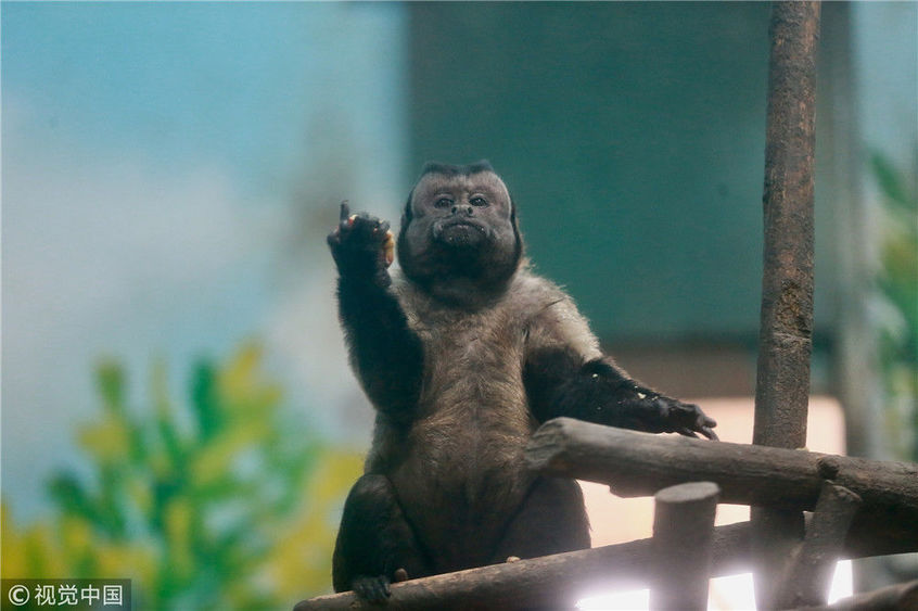 天津動物園