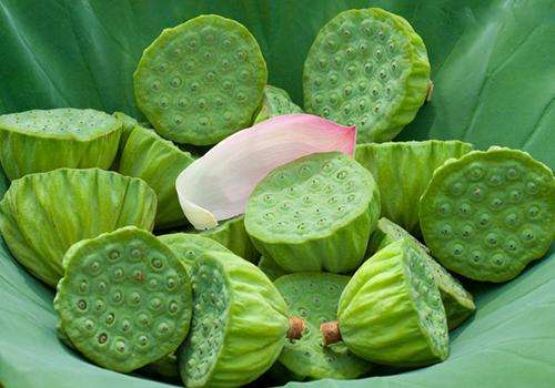 "红花莲子白花藕",想必,南京的莲蓬也成熟了吧!