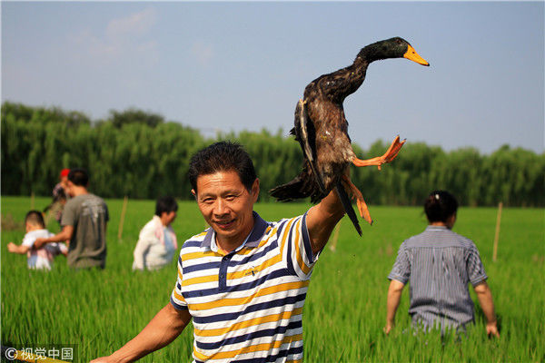 江苏省淮安市洪泽区,一名选手开心地举起刚刚抓到的鸭子