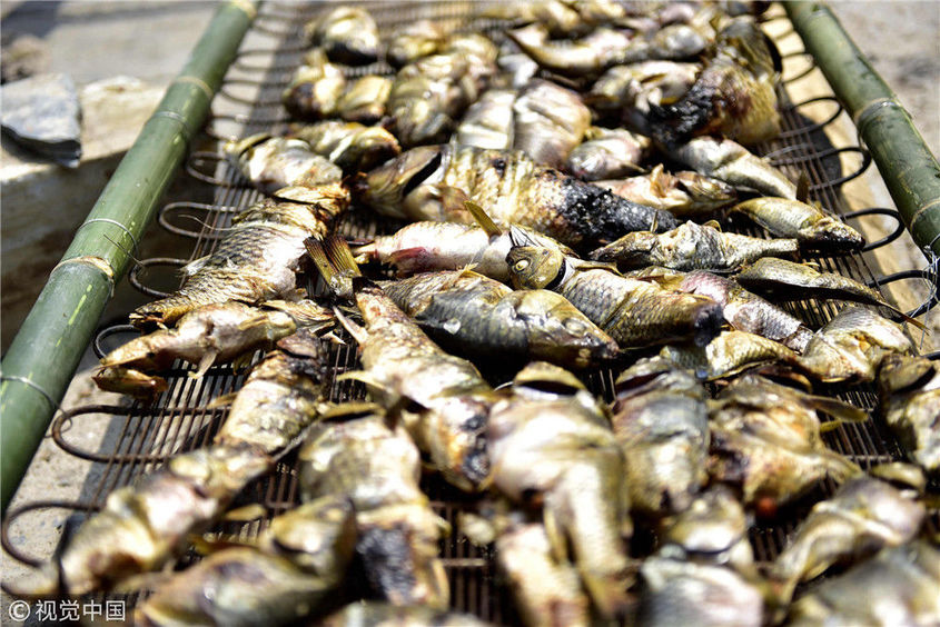 贵州从江:侗族烧鱼引客来