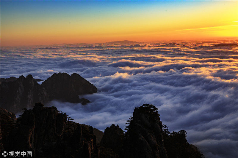 安徽黄山雨后现大面积云海 气势磅礴2019-01-06