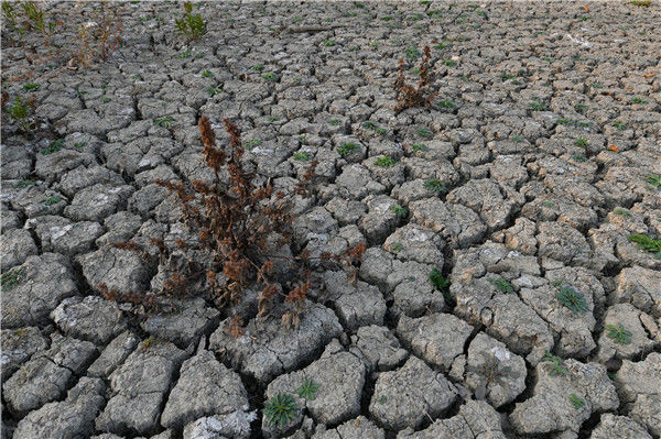 安徽伏秋旱近40年来最严重
