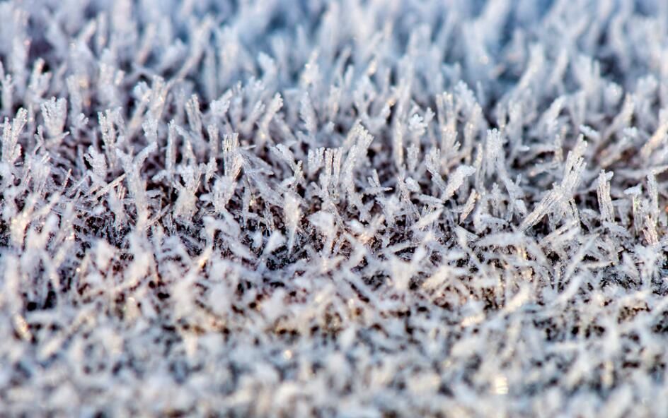 微霜 news.jstv.com