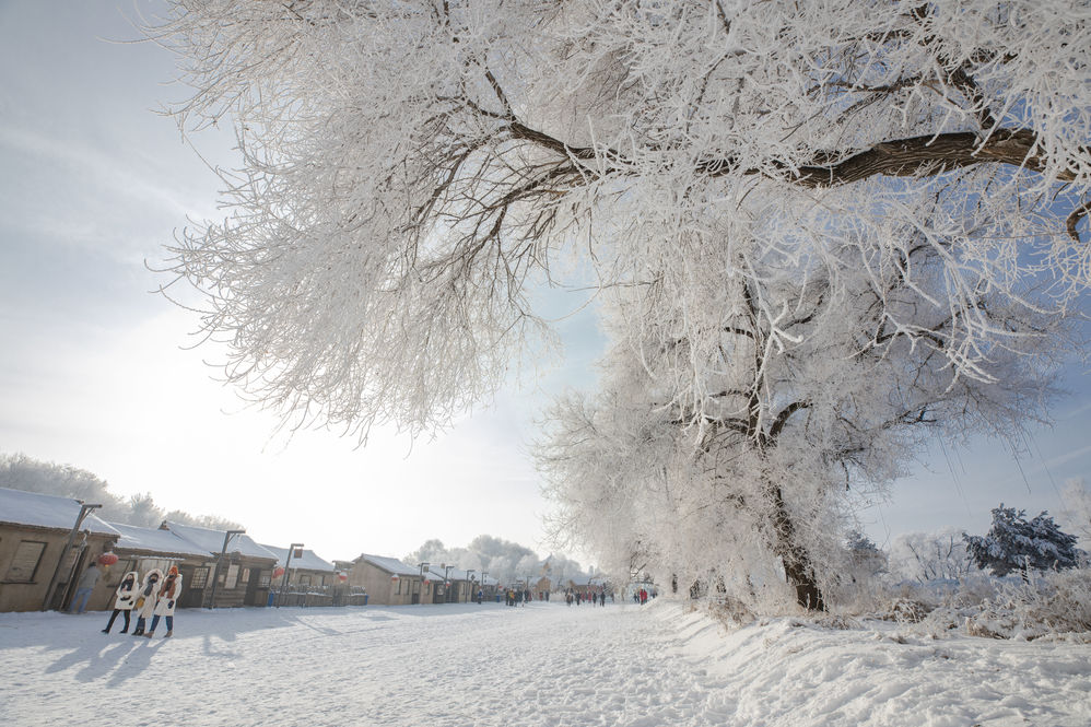 2019年12月21日盛大启幕,海内外游客齐聚中国"雾凇之都"吉林省吉林市