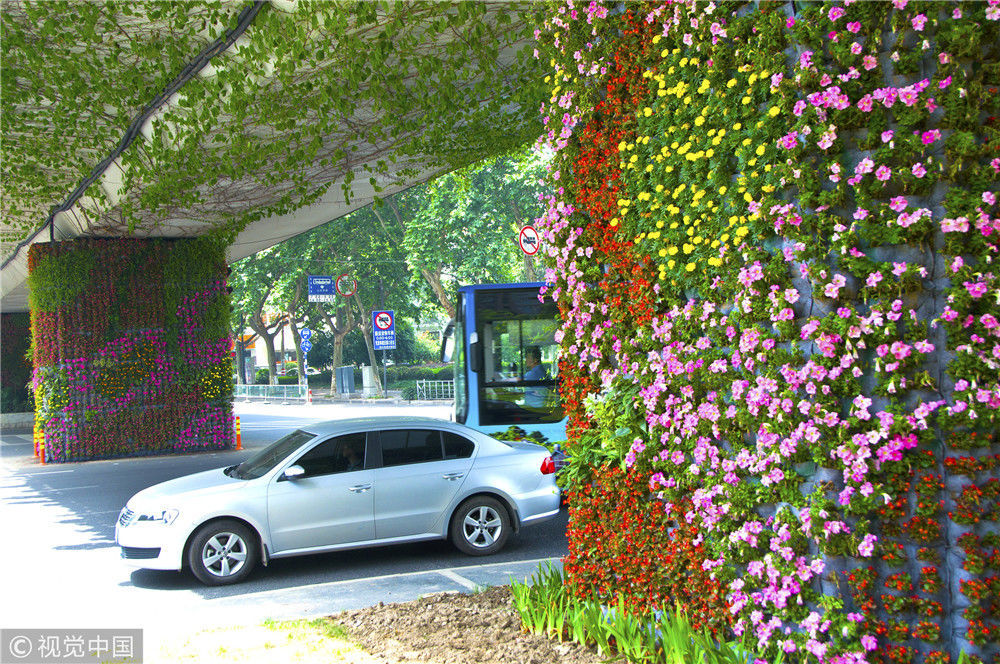 年5月28日,南京盐仓桥广场高架桥下,5个桥墩披上色彩斑斓花卉绿色植被