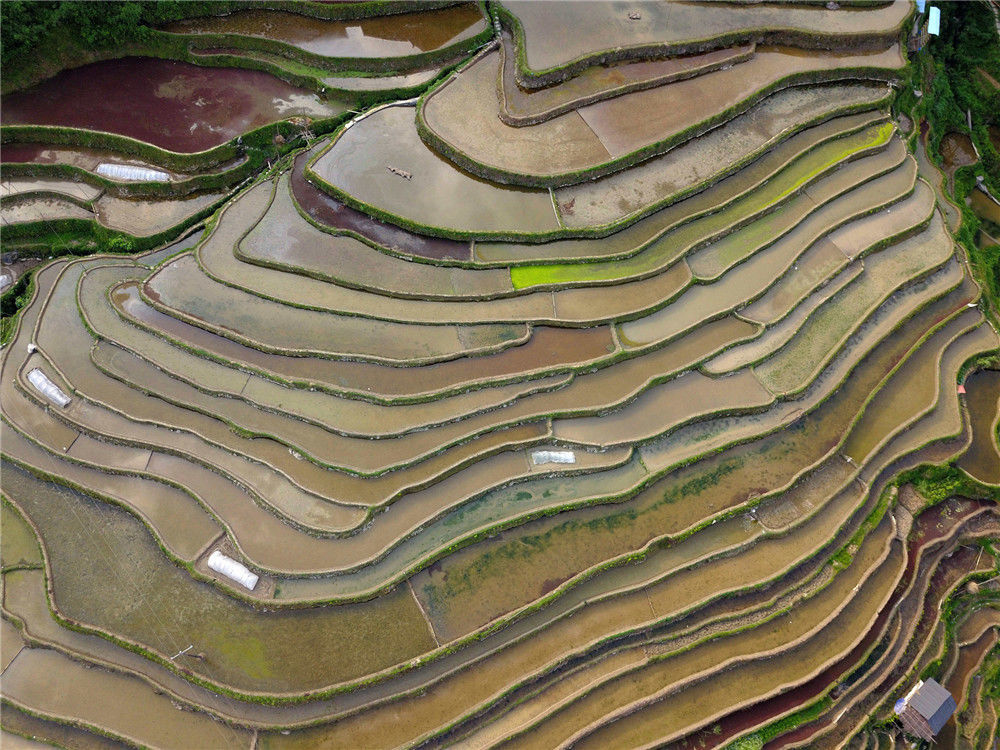 贵州从江:梯田"春耕图"引客来 大地调色盘美如画!2019-04-20