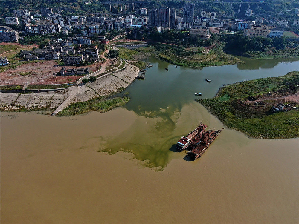 重庆涪陵江河交汇处似"鸳鸯锅" 半黄半绿颜色抢眼