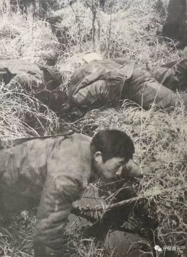 大兴安岭大火怪尸咬人图片